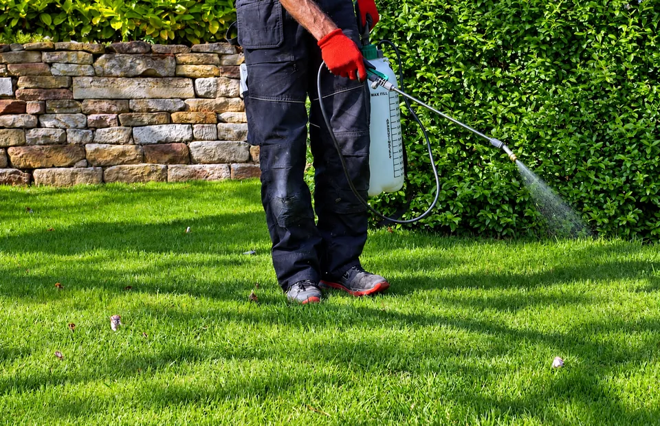 Technician using a handheld sprayer beside garden shrubs