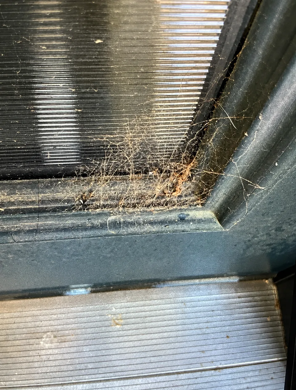 Webbing around the corner of a window frame